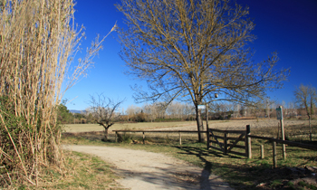 Estany de Banyoles